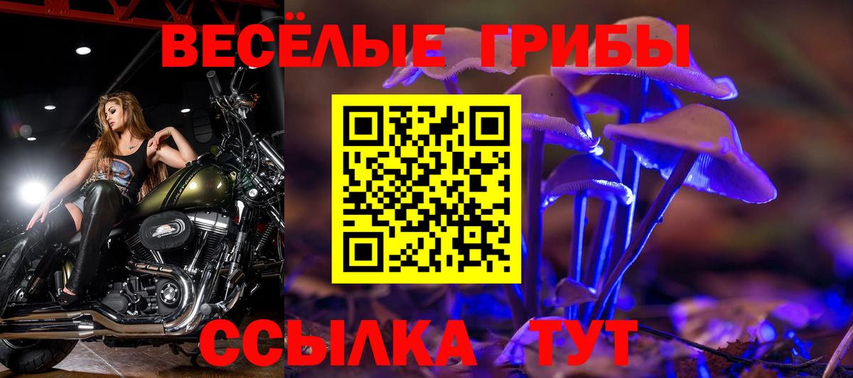 Белебей  Псилоцибиновые грибы мухоморы  Псилоцибиновые грибы Psilocybine cubensis  Вход с VPN 
